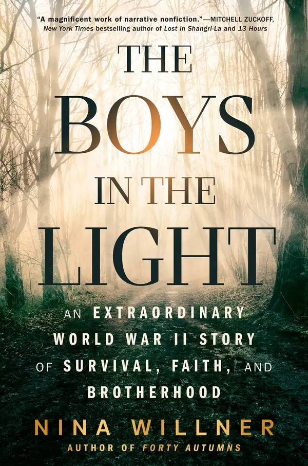 Cover art of The Boys in the Light